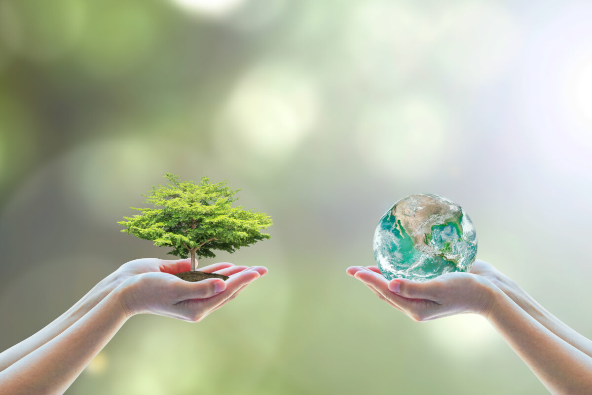 World,Environment,Day,Concept,With,Tree,Planting,And,Green,Earth